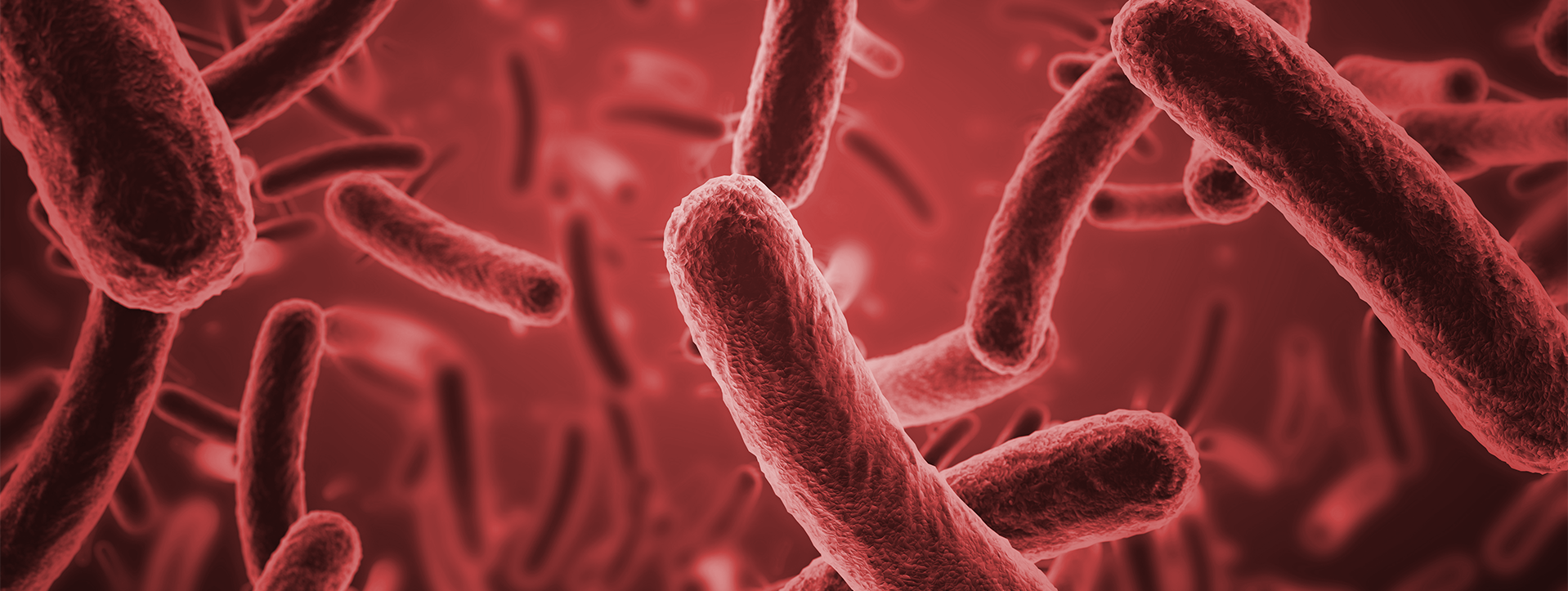 A guide to preventing & remediating microbiologically influenced corrosion (MIC) in closed loop systems 